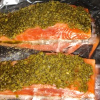 Roasted Salmon Fillets with a Crusted Pecorino and Pesto Topping